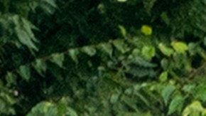 Los paramédicos llevaron a Shi, a su hijo y a Chen al Hospital Presbiteriano de Nueva York en Queens, donde la mujer mayor fue declarada muerta.