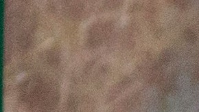 Presidente del Senado de Puerto Rico, Thomas Rivera Schatz