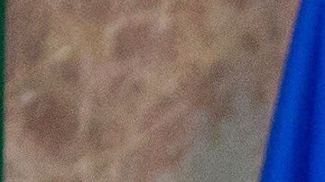 Presidente del Senado de Puerto Rico, Thomas Rivera Schatz