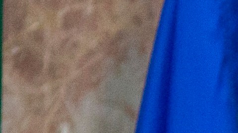 Presidente del Senado de Puerto Rico, Thomas Rivera Schatz