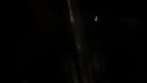 No se aclaró qué había estado haciendo Thompson en los últimos diez años, pero los agentes del NYPD afirmó que estaba sin hogar cuando fue asesinada.