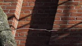 El NYPD encontró a Bohler semanas después, lo capturaron el 3 de febrero y lo acusó de agresión, posesión ilegal de un arma e intento de agresión.