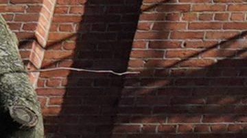 El NYPD encontró a Bohler semanas después, lo capturaron el 3 de febrero y lo acusó de agresión, posesión ilegal de un arma e intento de agresión.