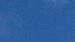 El Senado logró reducir significativamente el número de nominados pendientes, dejando solo 26 por confirmar: 16 para puestos ejecutivos y 10 para roles judiciales.