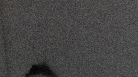 Comerciante de San Juan afectada por apagón en Puerto Rico