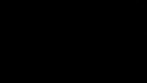 Congresista republicana de Florida, María Elvira Salazar