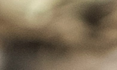 NYCI pondera como muy conveniente que aquellas personas que tengan órdenes de deportación, puedan identificar a un cuidador de sus hijos con anticipación, lo cual les daría una mejor oportunidad de recibir la atención que necesitan, incluso si por una situación más extrema llegan a ser separados