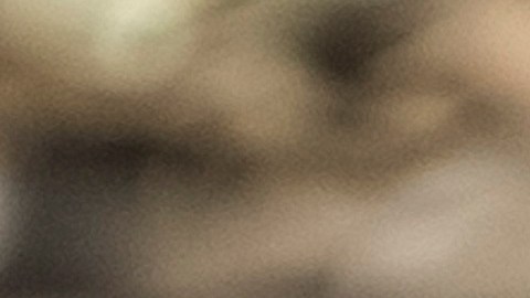 NYCI pondera como muy conveniente que aquellas personas que tengan órdenes de deportación, puedan identificar a un cuidador de sus hijos con anticipación, lo cual les daría una mejor oportunidad de recibir la atención que necesitan, incluso si por una situación más extrema llegan a ser separados