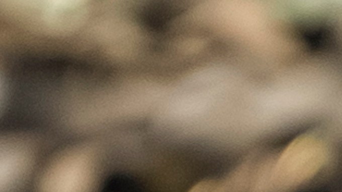 NYCI pondera como muy conveniente que aquellas personas que tengan órdenes de deportación, puedan identificar a un cuidador de sus hijos con anticipación, lo cual les daría una mejor oportunidad de recibir la atención que necesitan, incluso si por una situación más extrema llegan a ser separados