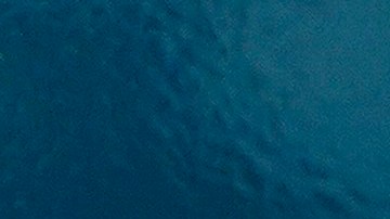 Algunas redes que dependen de la plataforma se vieron afectadas.