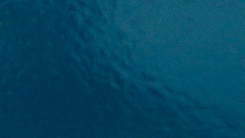 Algunas redes que dependen de la plataforma se vieron afectadas.