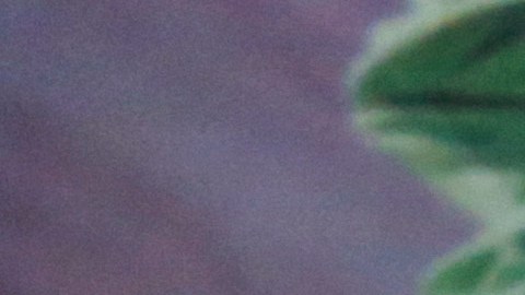 La Cámara de Comercio de EE.UU. demandó a la administración Trump por la tarifa para visas de trabajadores extranjeros, describiéndola de ilegal.