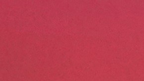 La vicepresidenta Delcy Rodríguez se dirige a sus simpatizantes durante una manifestación en defensa del proyecto de ley "Ley contra el fascismo, el neofascismo y expresiones similares", que debaten los legisladores en Caracas, Venezuela, el viernes 23 de agosto de 2024.