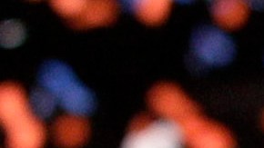 New York Giants en 2012 le dio el último gran título deportivo a la ciudad.