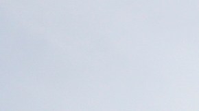 Según el DHS, empleados de FEMA evitaron ayudar a casas que tuvieran banderas en apoyo a Trump.