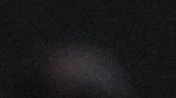 Vacaciones juntas de Paula Badosa y Aryna Sabalenka en Dubai encienden las redes sociales