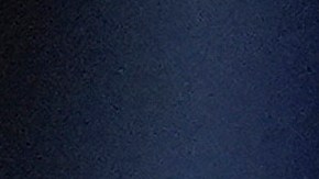 Dana White no quiere cambiar la Ley Muhammad Ali