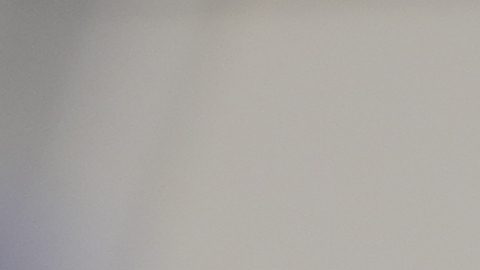 Santos se declaró culpable en 2024 de fraude electrónico y robo de identidad.
