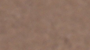 La propuesta de Trump contempla la desmilitarización de la Franja y la posibilidad de negociar en el futuro un Estado palestino, algo descartado por Netanyahu.