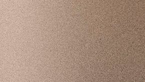 Un agente federal porta una placa del Servicio de Inmigración y Control de Aduanas (ICE).