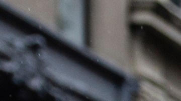 Se espera que millones de personas participen en protestas en 50 estados contra Trump.