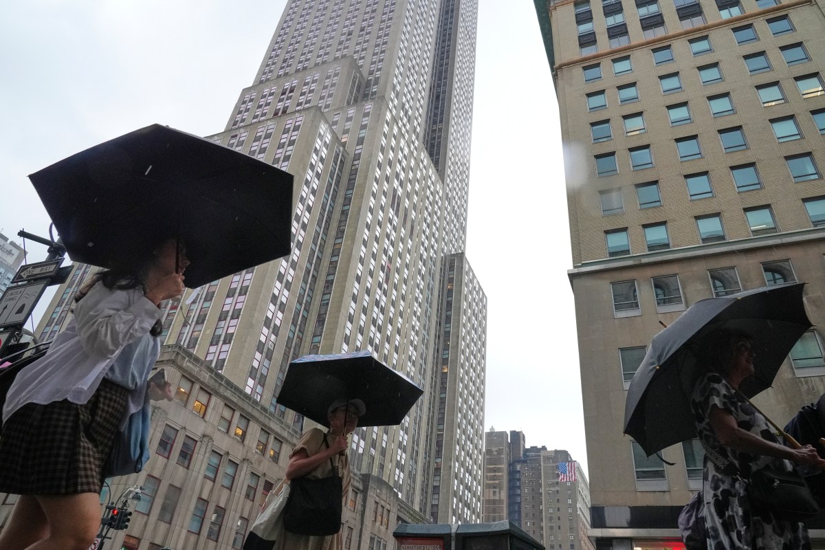 Árboles caídos, cortes de energía y colapso: El saldo de la tormenta en Nueva York