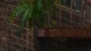 Lluvia en Nueva York/Archivo.