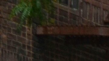 Lluvia en Nueva York/Archivo.