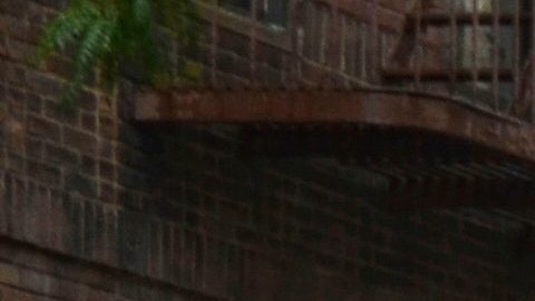 Lluvia en Nueva York/Archivo.