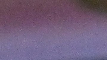 Shakur Stevenson asegura que el Canelo es el mejor peleador que ha visto.