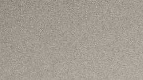 Arrestos migratorios en cortes de NY