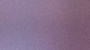 Andy Borregales sonríe durante un encuentro de New England Patriots.