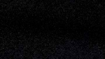 Un observador del tribunal dijo que esta nueva práctica de llevarse a las familias completas es extremadamente preocupante.