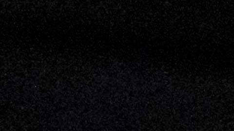 Un observador del tribunal dijo que esta nueva práctica de llevarse a las familias completas es extremadamente preocupante.