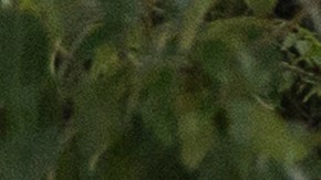 Guardia Nacional en Washington D.C.