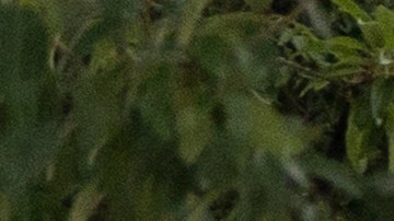 Guardia Nacional en Washington D.C.