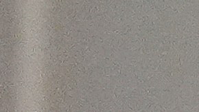 Entre los ciudadanos estadounidenses detenidos está el coordinador de Progressive International.