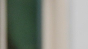 El vicepresidente J.D. Vance ha afirmado falsamente que haya un plan para otorgar seguro médico a indocumentados.