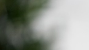 Director de presupuesto de la Casa Blanca, Russell Vought