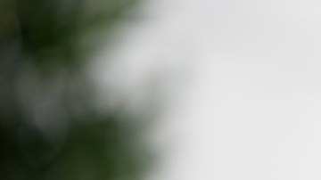 Director de presupuesto de la Casa Blanca, Russell Vought