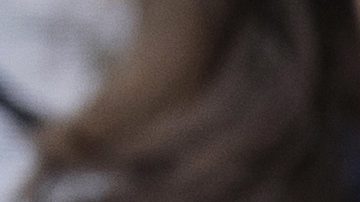 Según Jeffries los demócratas están listos para cumplir con su tarea, reabrir el gobierno, aprobar un acuerdo de gasto y abordar la crisis sanitaria republicana.