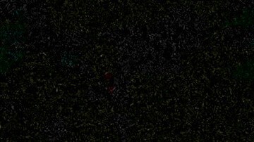 Manifestantes propalestinos inundan las vías del tren en la estación Cadorna de Milán, Italia, la noche del miércoles 1 de octubre de 2025, tras la noticia de que una flotilla de ayuda humanitaria con destino a Gaza había sido interceptada por fuerzas israelíes en el mar Mediterráneo.