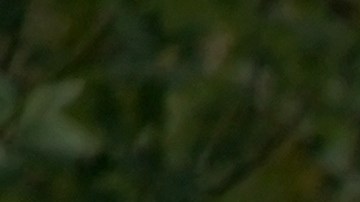 Al menos otras tres personas resultaron lesionadas.