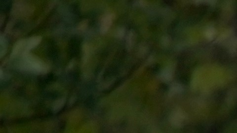 Al menos otras tres personas resultaron lesionadas.