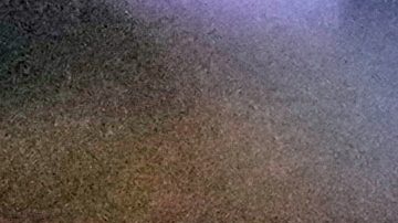 Mamdani se opone a una "evaluación singular" para los estudiantes que inician el jardín de infancia "que los separa injustamente desde el comienzo" su escolarización.