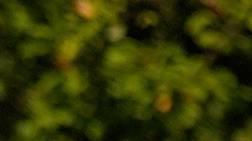 Bovino habría violado una orden judicial que le prohíbe usar la fuerza o agentes químicos.