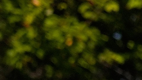 Bovino habría violado una orden judicial que le prohíbe usar la fuerza o agentes químicos.