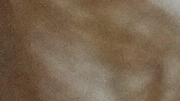 Thunberg agradeció las palabras "muy halagadoras" del presidente sobre su carácter y su preocupación por su estado de salud mental.