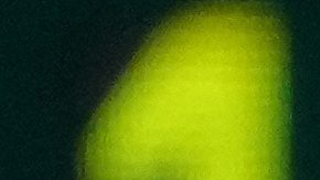 Novak Djokovic colapsó en pleno partido antes de vencer a Jaume Munar en el Masters 1000 de Shanghái