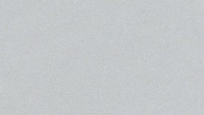 Cuba y Rusia, aliados tradicionales, han impulsado su relación bilateral y aún más actualmente, cuando la isla vive su peor crisis económica en tres décadas.